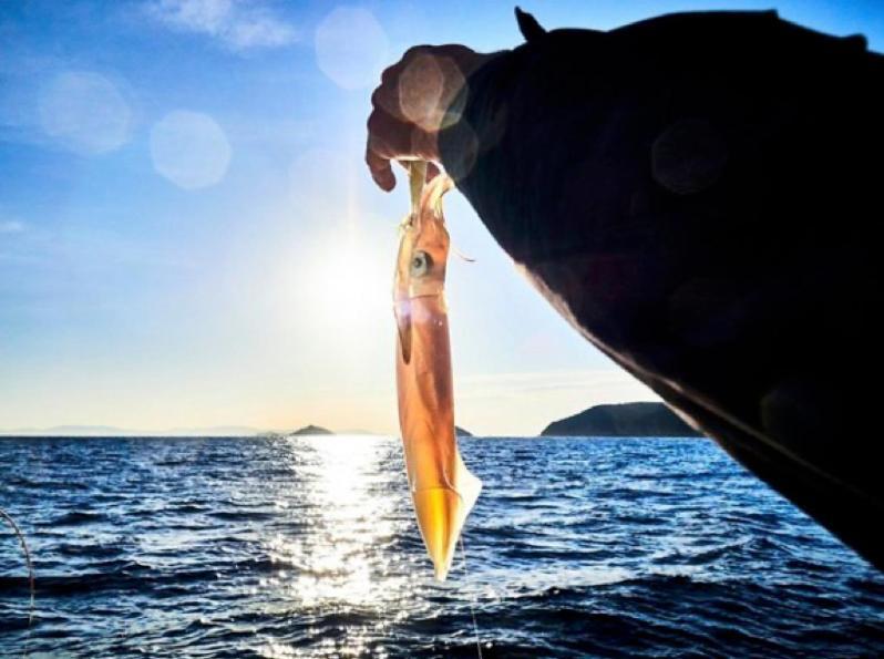 ホテル Experience Relais " Il Termine Elba " リオ・マリーナ エクステリア 写真