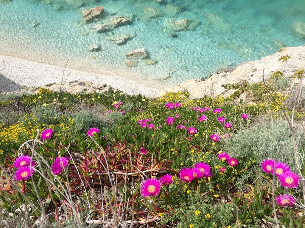 ホテル Experience Relais " Il Termine Elba " リオ・マリーナ エクステリア 写真